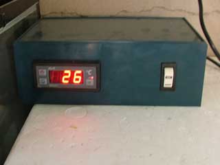 termostato